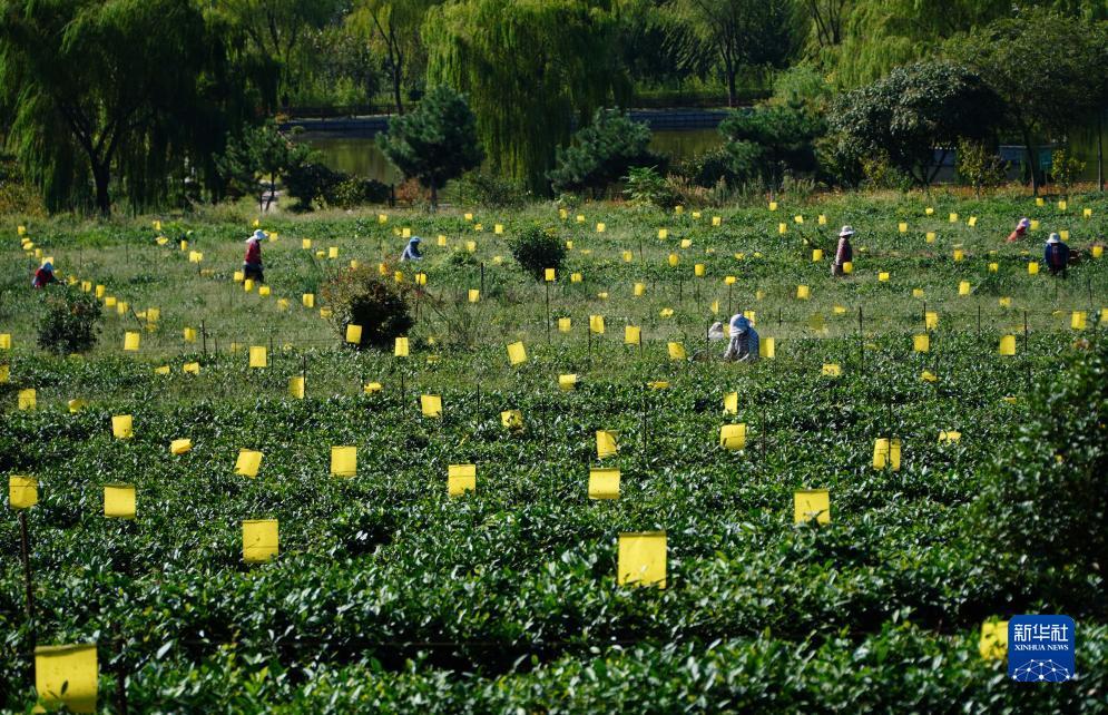 多盈线上在线